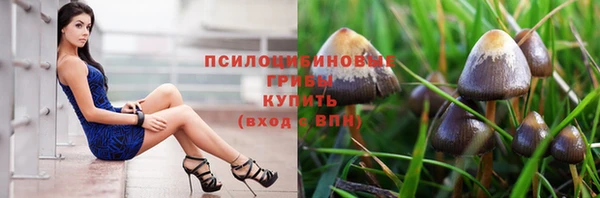 мяу мяу мука Армянск