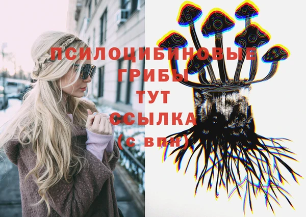 мдпв Арсеньев