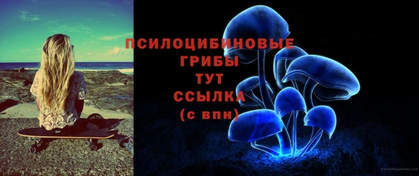 мдпв Арсеньев